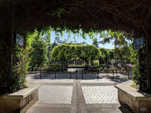 谷歌pixel4xl深度评测,谷歌手机pixel6