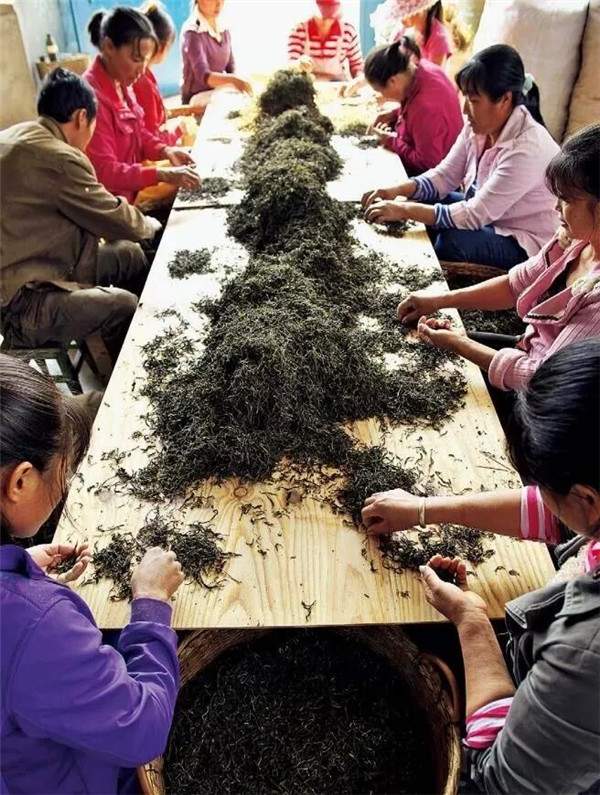 普洱茶纯料和拼配历程,普洱茶国营茶厂发展历程