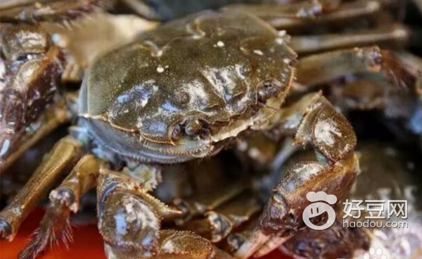 大闸蟹挑选小技巧,怎么挑选大闸蟹小妙招