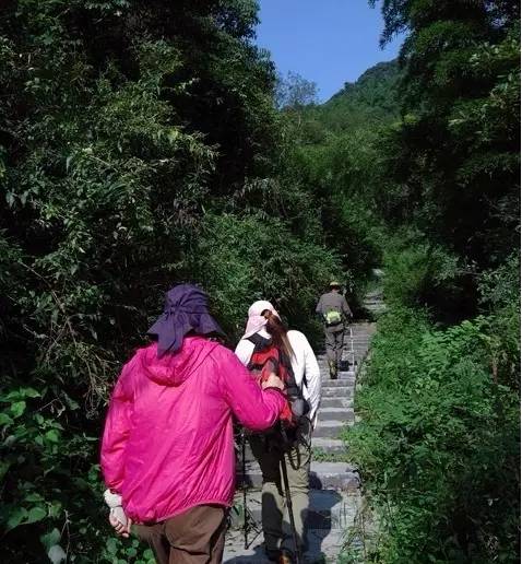 走不完的山川大地,走不完的川西看不完的美景