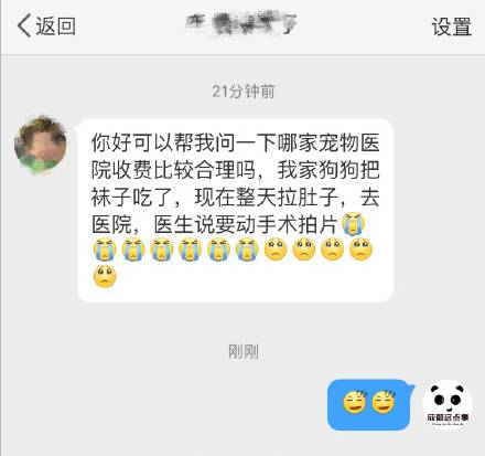 狗子把袜子吃进肚子里面怎么办,不知道狗狗吃了多少只袜子怎么办