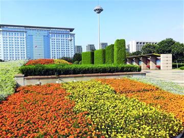 青岛水清沟改造,青岛白沙河整治