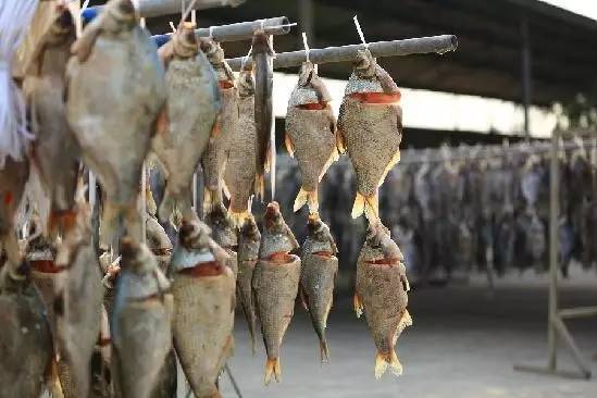 简单介绍一下安徽马鞍山,我的家乡最美的地方是马鞍山