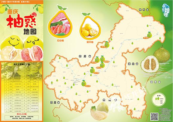 重庆柚惑地图发布“柚”惑十足也要注意食用禁忌