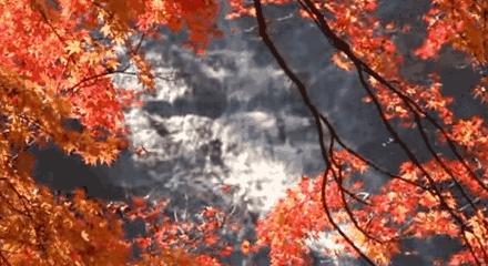 好冷，温泉泡起！这几个水优景美的“汤池子”距成都市区都不远哦~