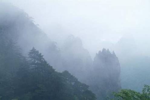 浓雾天气应对方法,雾天应对小妙招