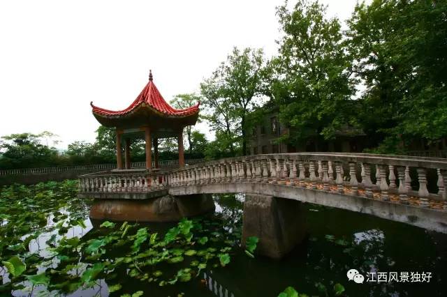 「走遍江西100县」临川：这个才子之乡，竟然藏着这么多值得一去的地方！