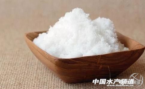 这几个“屌丝”渔药你知多少?生石灰、食盐、二氧化氯,一个比一个好用!