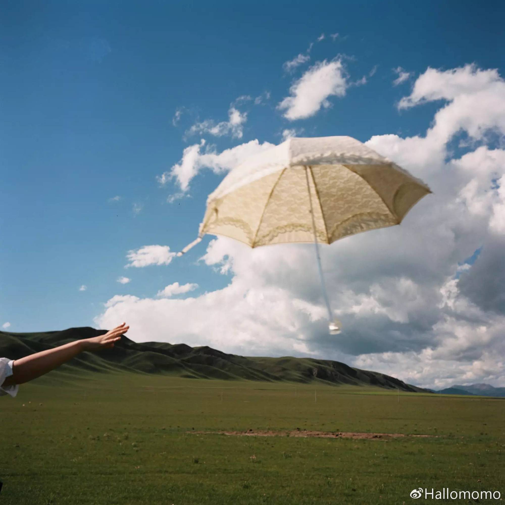 中画幅胶片机推荐,有哪些值得买的胶片机