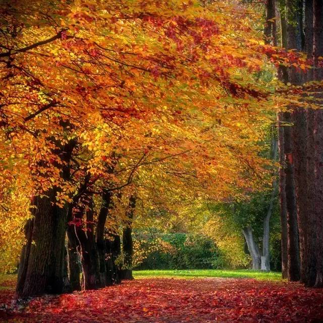 绉嬪ぉ灏嗚鏉ヤ复,绉嬪ぉ鍗冲皢鏉ヤ复