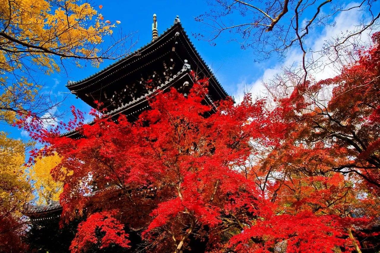 最高级的红色是什么,最高级最不过时的红色是哪一种