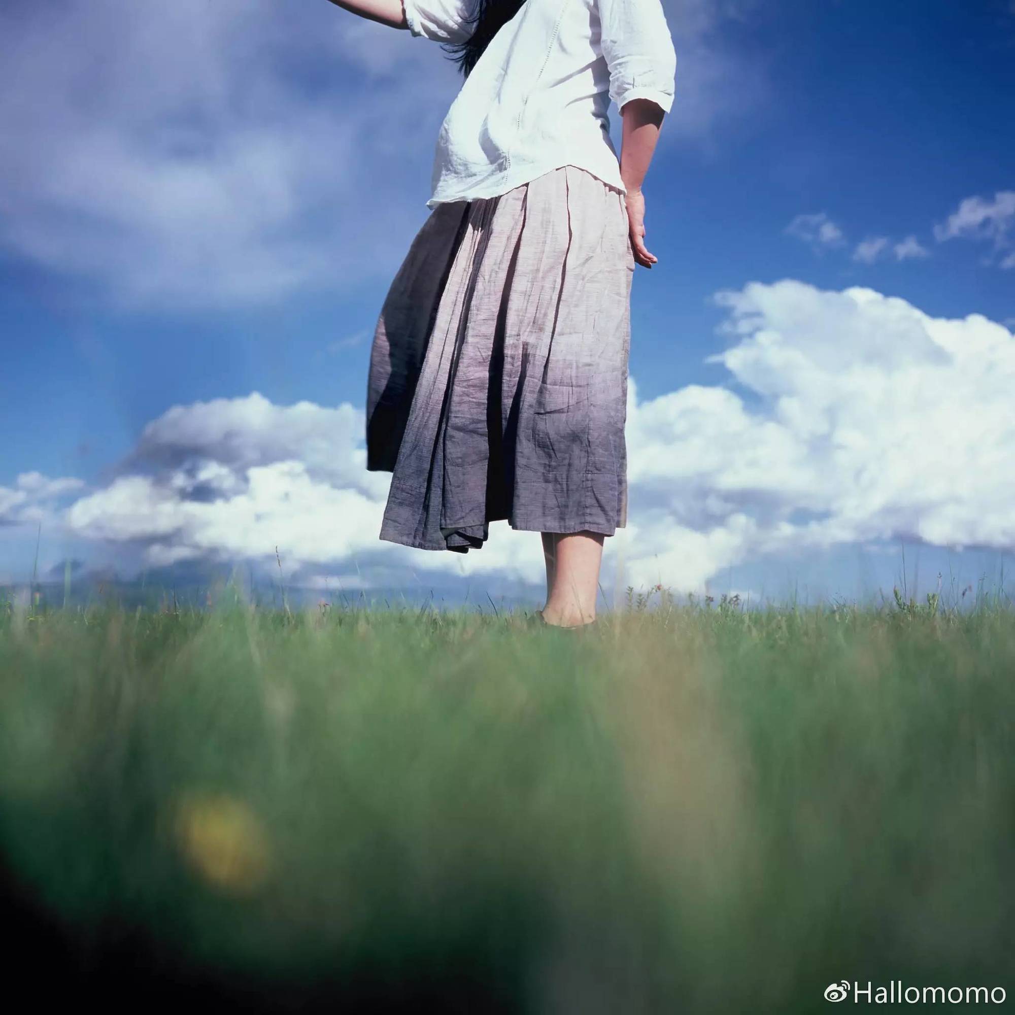 中画幅胶片机推荐,有哪些值得买的胶片机