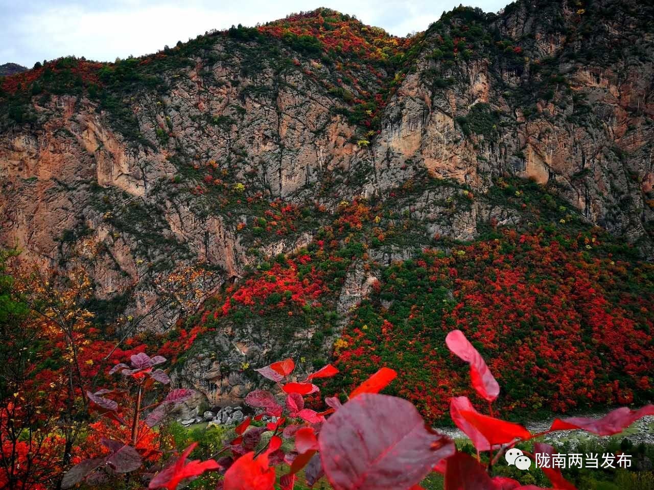 「精彩预告」两当县首届太极拳比赛暨赏红叶活动日程早知道