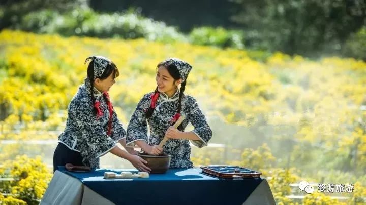 第二届婺源皇菊文化节,婺源茶文化系列活动