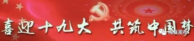 「聚焦」市区领导到宝丽华集团开展暖企行动：政企携手齐发力壮大实体经济