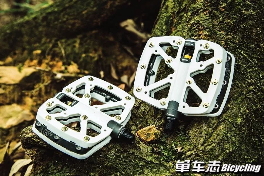 脚踏实地尽享骑趣9款速降平板脚踏推荐