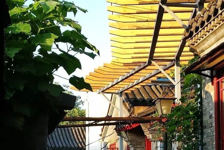 百花深处笛子版,百花深处