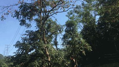 萧山最大的马场在哪里,萧山新建马场