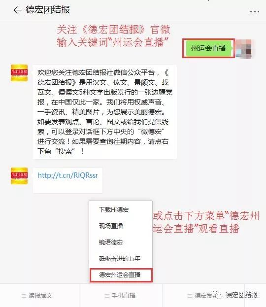 德宏州州运会开幕式,德宏陇川盛会