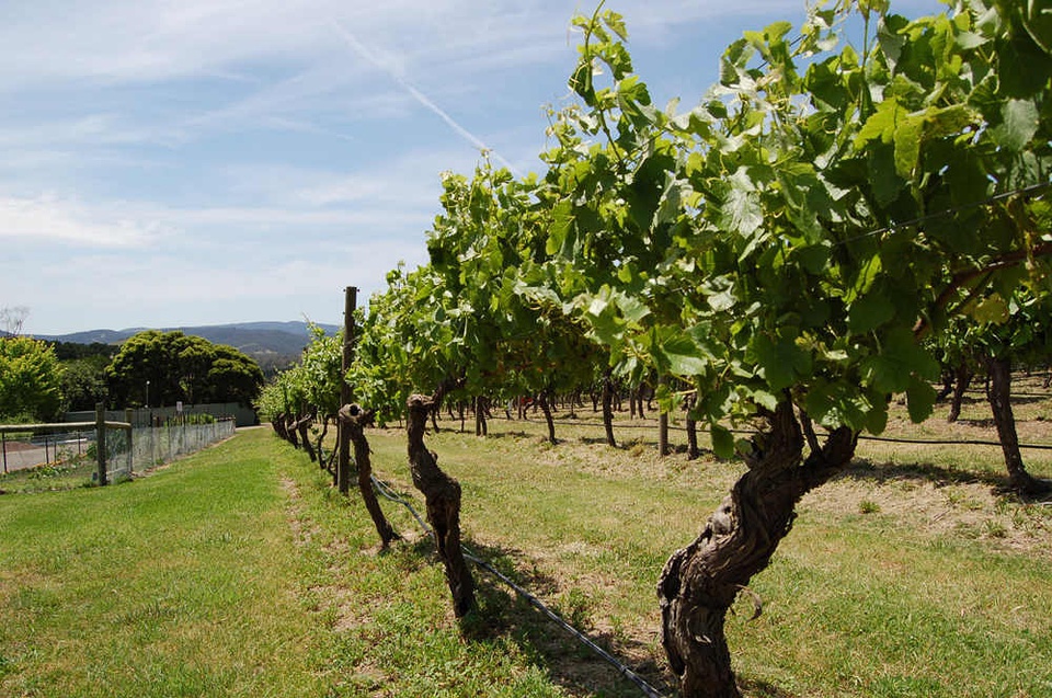 豆瓣日记完整版,豆瓣日记茉莉