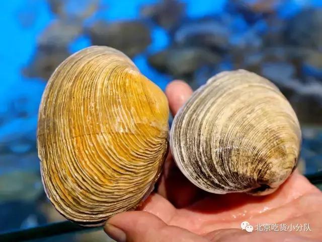 三里屯的豪放派海鲜，直接把渔船搬进了店