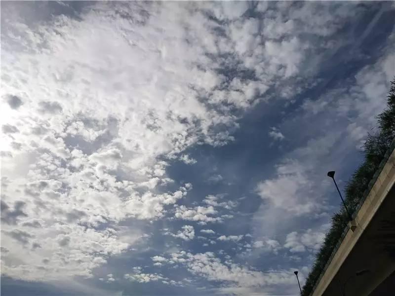 vivox9s测评方法,vivox9s测评视频