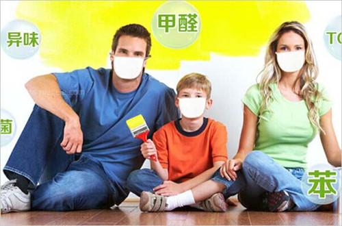 除甲醛的炭包可以种花吗,锰炭包除甲醛是真的吗