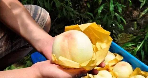 不是天生黑的被晒黑的怎么变白,如果不是天生黑是晒黑的该怎么办