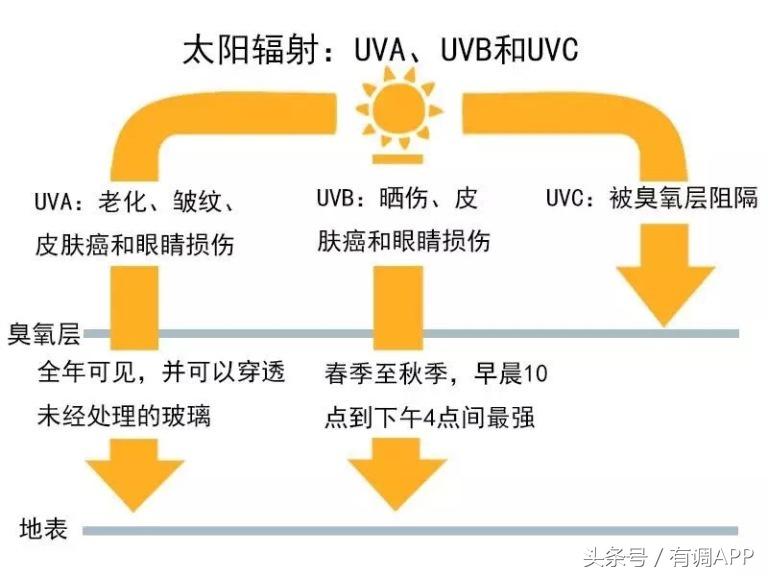 科学实验魔术师帽子,科学实验防水帽子
