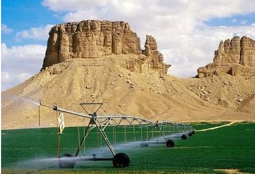 海鱼能人工饲养吗,海鱼可以自己养吗