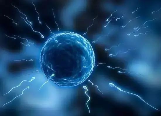 受孕的正确方法和注意事项,原来备孕这么难