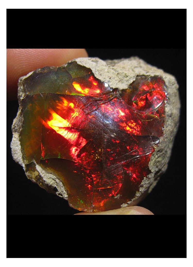 欧泊变色龙,变色龙欧泊