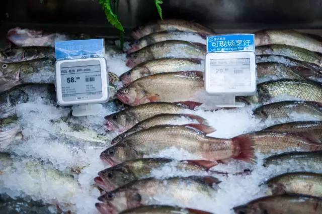 听说马云开了家作妖儿的水族馆，全城的大人都带着小孩冲过去了