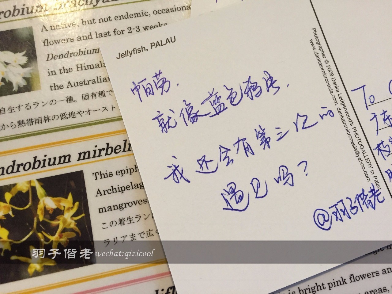 帕劳的旅游时长是多少,帕劳旅游找哪个旅行社