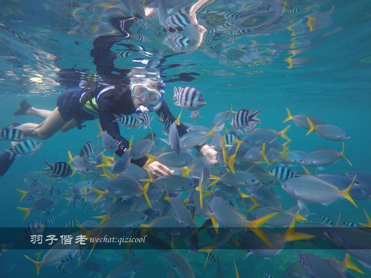 帕劳旅游发展的前景,去帕劳注意事项和必备品