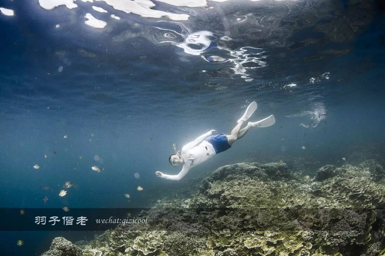 帕劳旅行真实感受,三次帕劳是一种什么体验