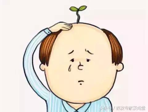 前额脱发还能恢复吗,脱发两年还能恢复吗