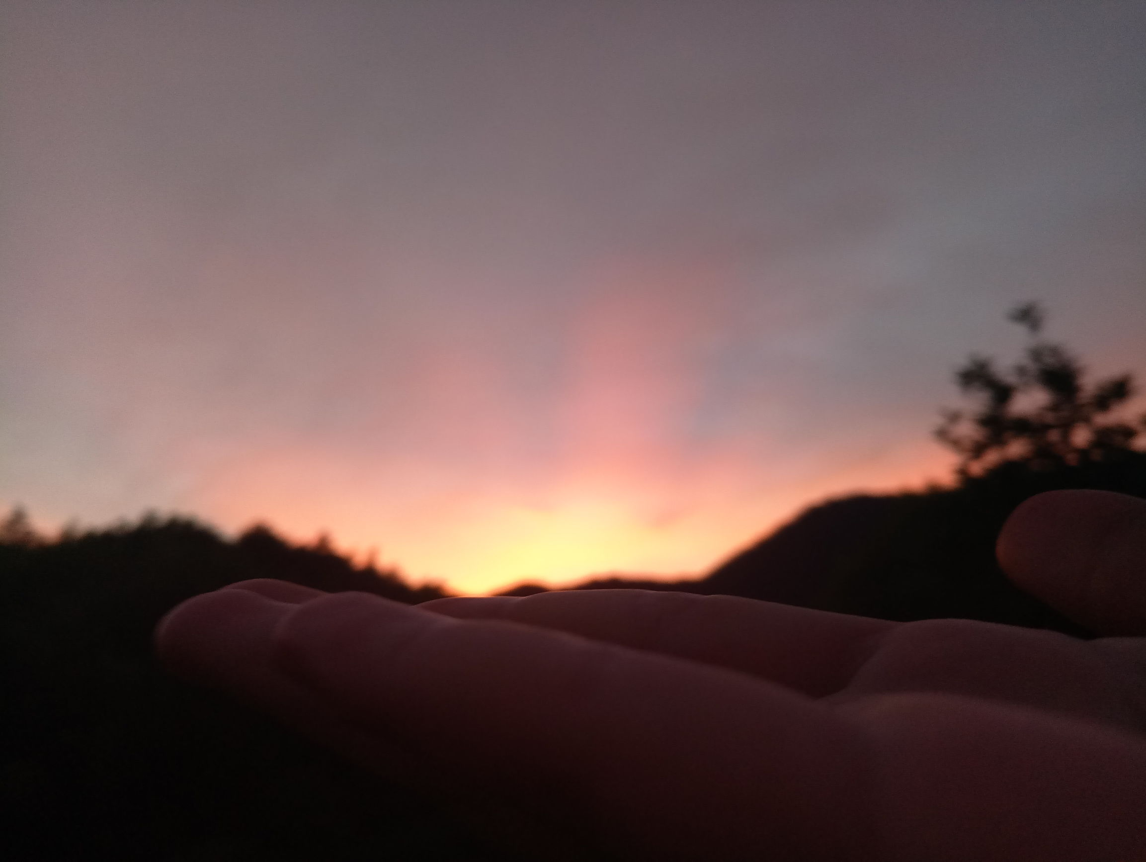 不打麻药缝针的痛你感受过么