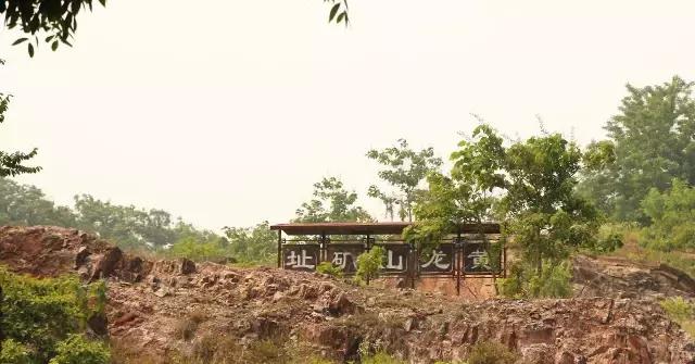 紫砂蟹壳青是什么泥料,宜兴紫砂泥料开采现状