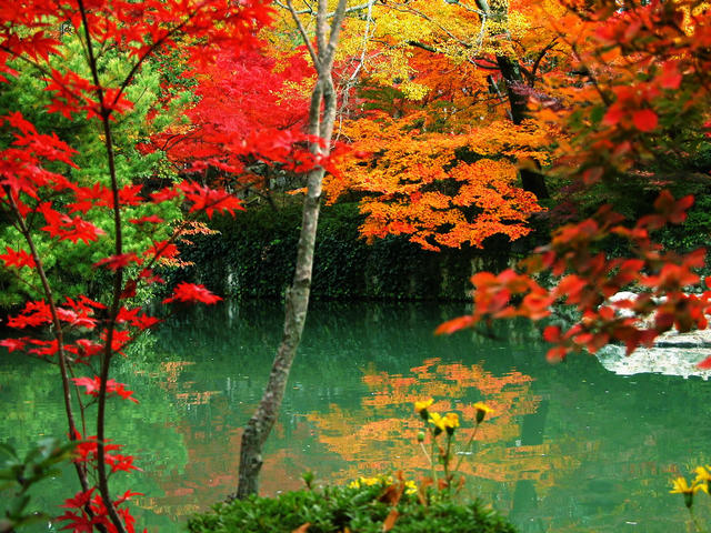 南京珍珠泉免费游玩攻略,南京珍珠泉值得去么