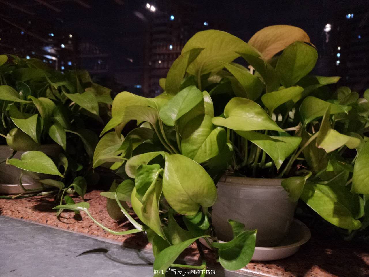 美图t8效果图,美图t8打动人的心