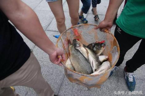 第二季人鱼跑者争霸赛点燃激情成就梦想