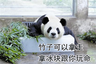 瑞云河边冬游,云南夏季避暑攻略图