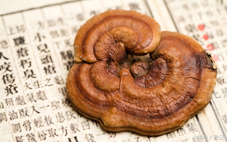 这个奇葩，从土豪变笑柄，最后成为了科学家