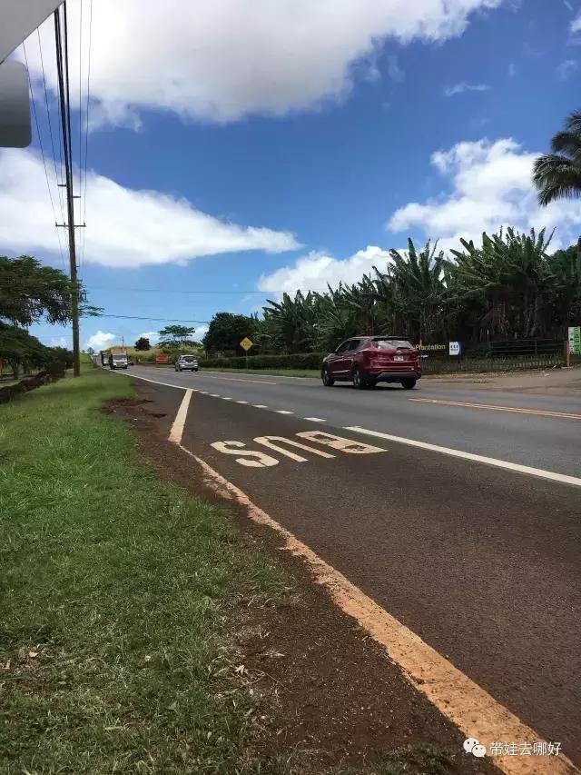 夏威夷大岛带孩子旅游攻略,带娃去夏威夷旅游攻略住宿