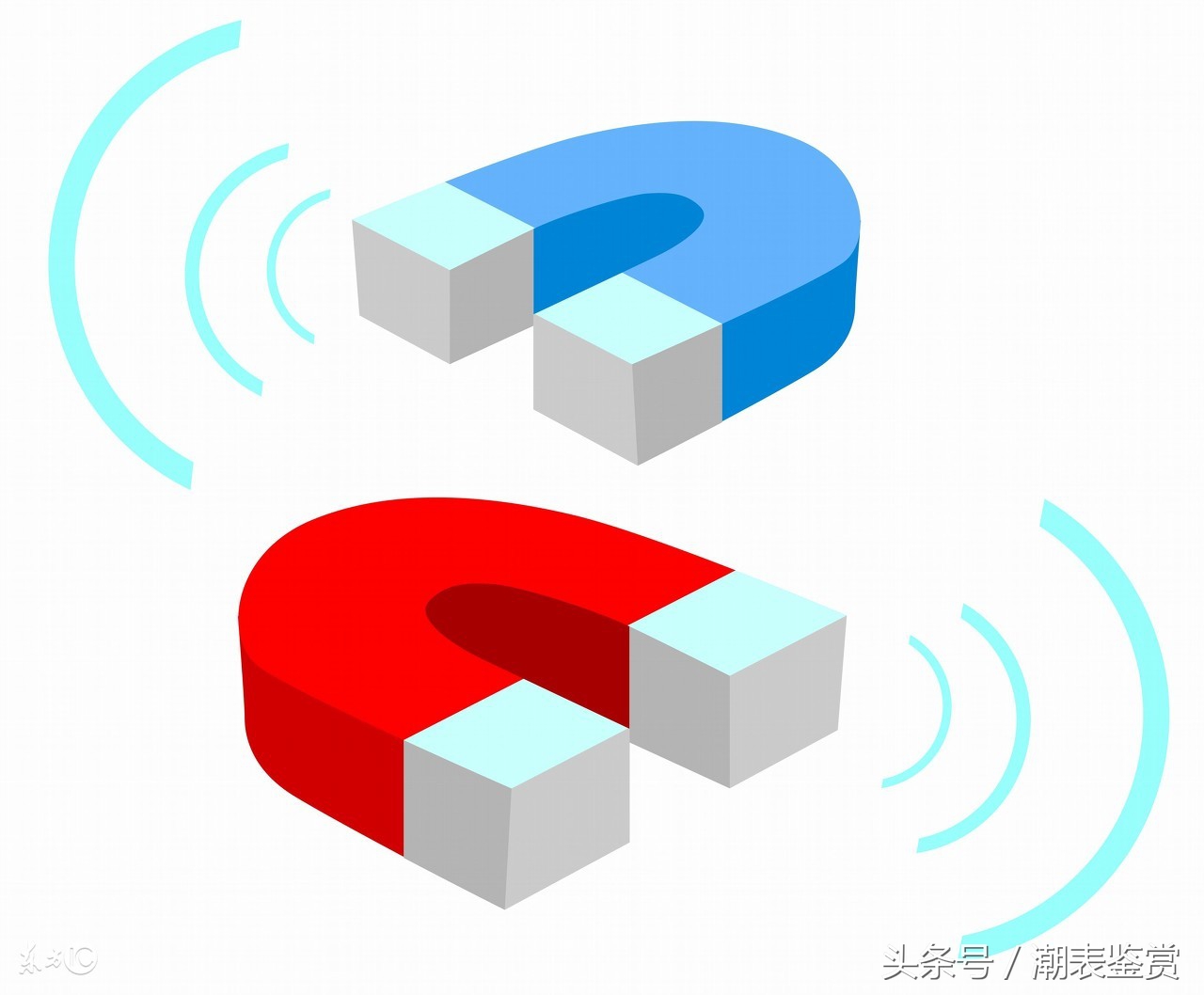 表博士钟表维修,手表博士