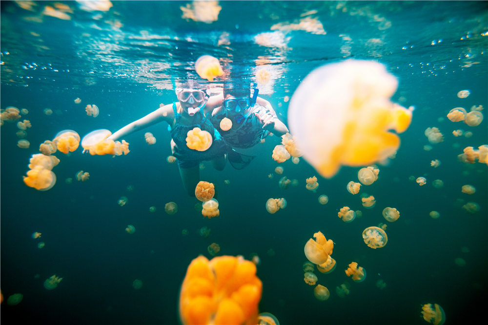 帕劳有什么玩的,帕劳出行攻略