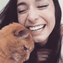 给流浪猫割双眼皮,成都流浪猫手术