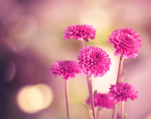 有文字的背景图正能量,正能量意境文字图片