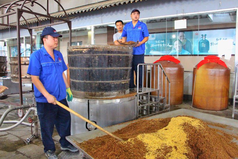 青山绿水间自由的飞翔,青山绿水放飞心情拥抱大自然